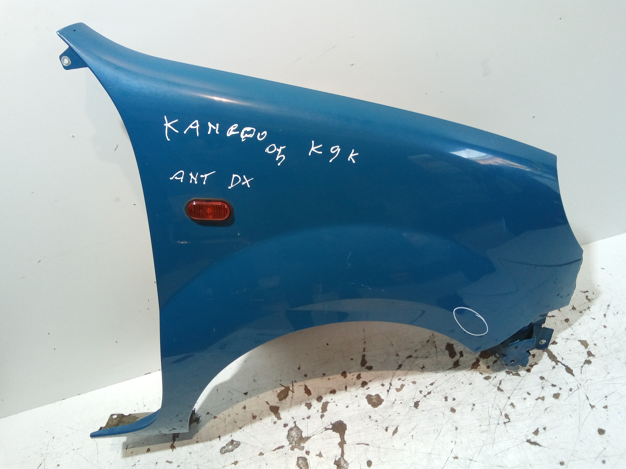 Parafango Anteriore Destro per Renault Kangoo 3 Serie (2003 - 2007)