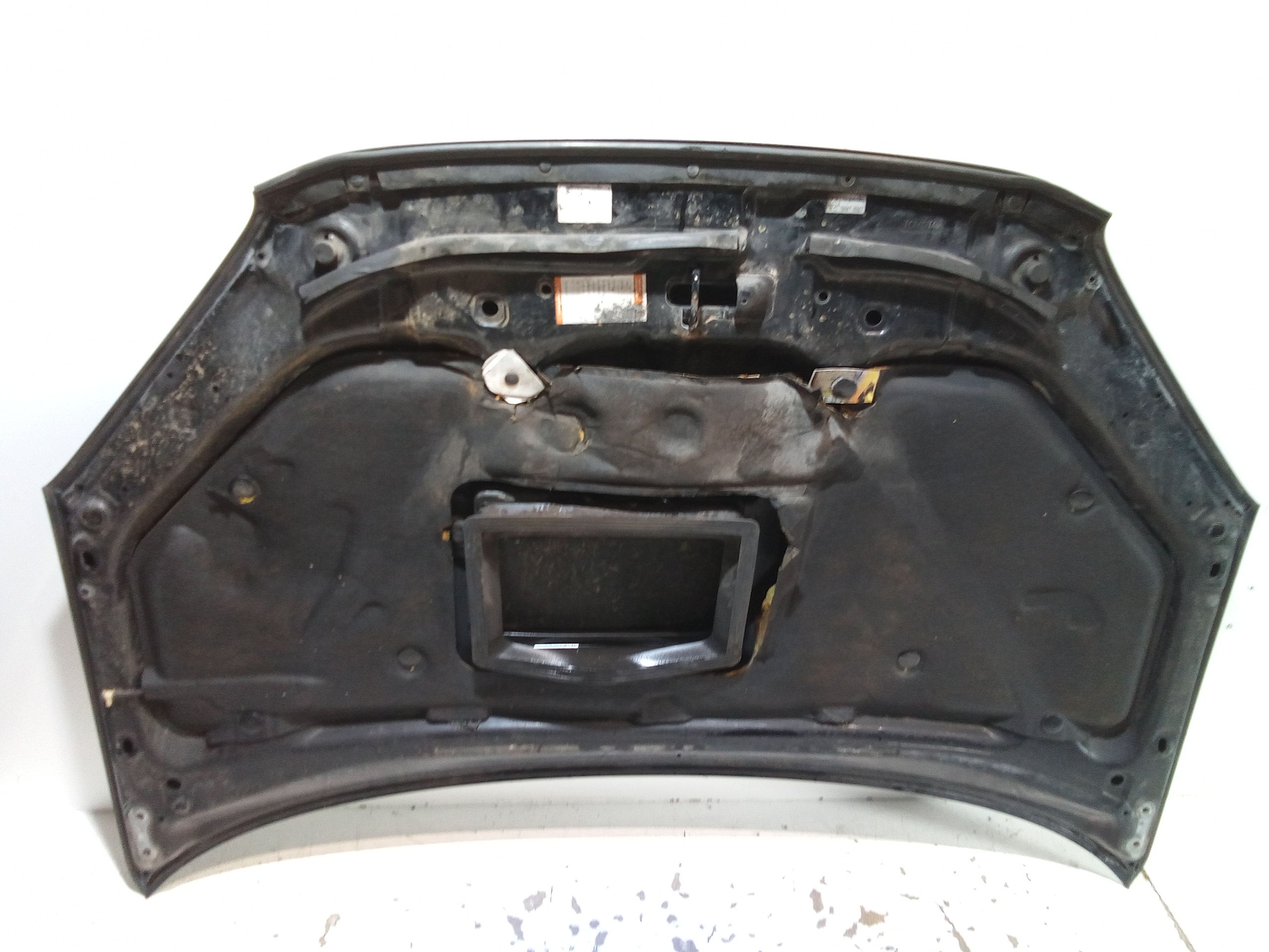 Cofano Anteriore per Toyota Rav4 4 Serie (2005 - 2009)