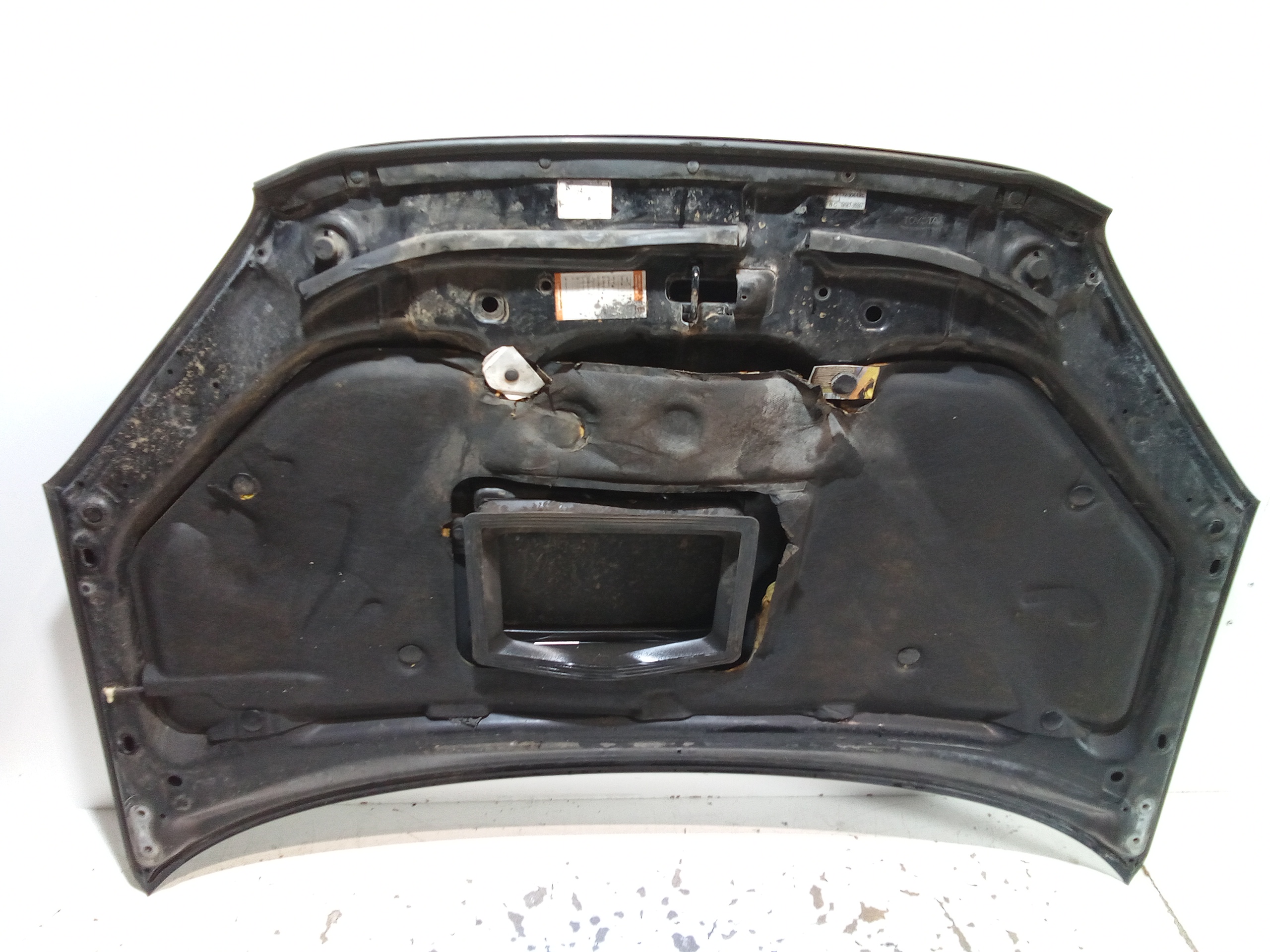 Cofano Anteriore per Toyota Rav4 4 Serie (2005 - 2009)