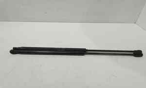 Pistoncini cofano Post. per Fiat 500 Serie (07>14) (2007 - 2014)