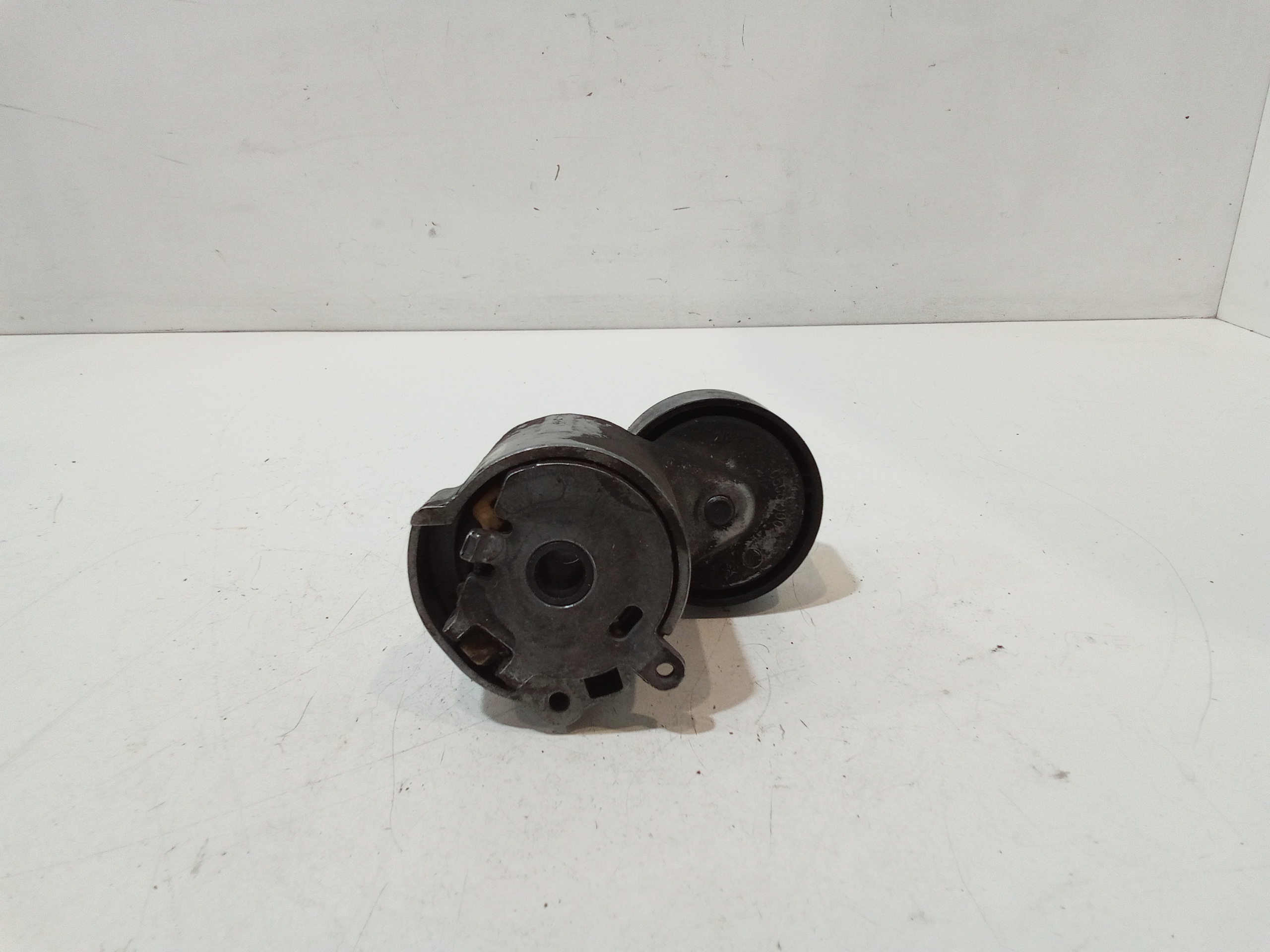 Tendicinghia per Fiat 500 Serie (15>) (2015 - In produzione)