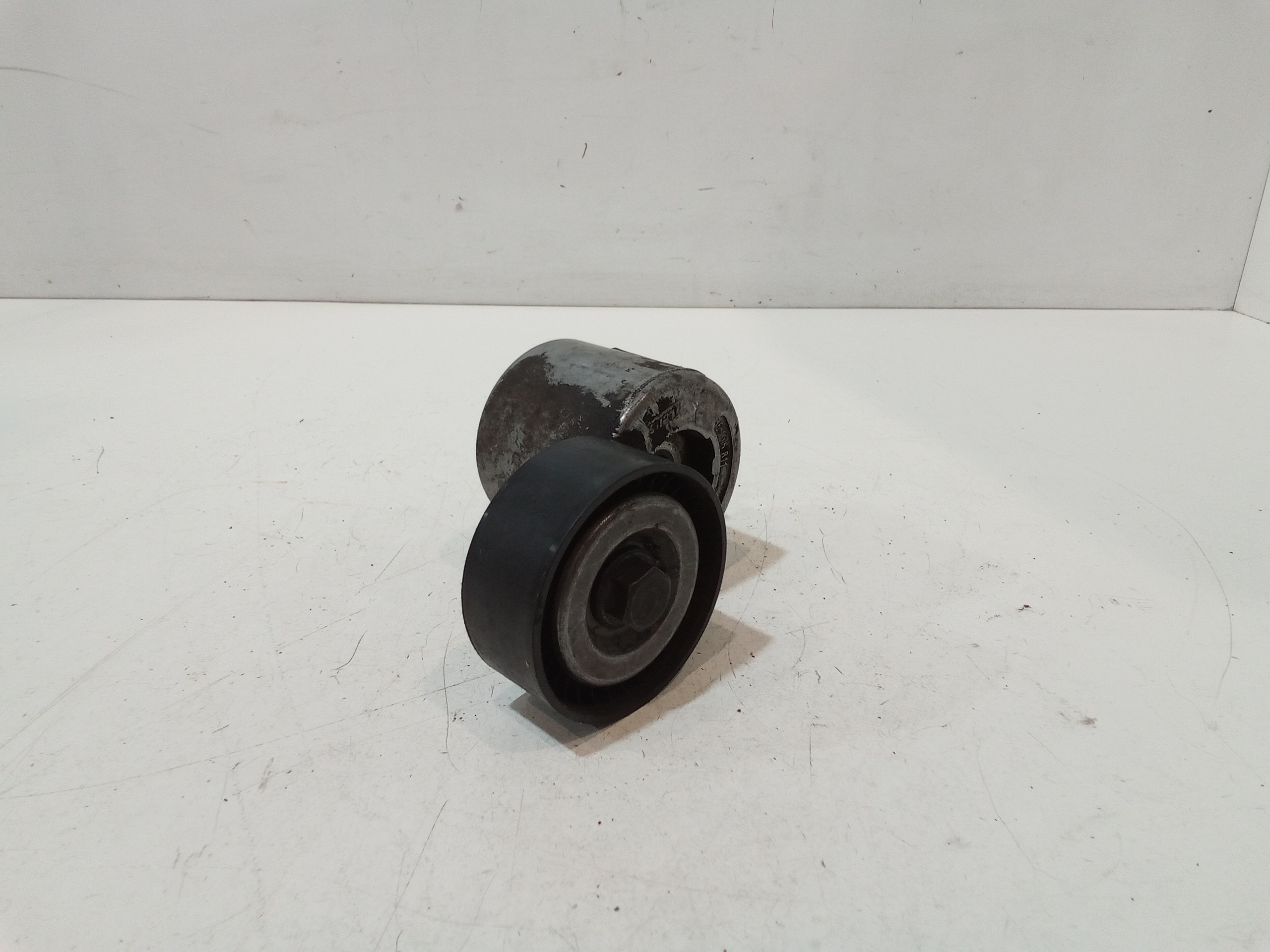 Tendicinghia per Fiat 500 Serie (15>) (2015 - In produzione)