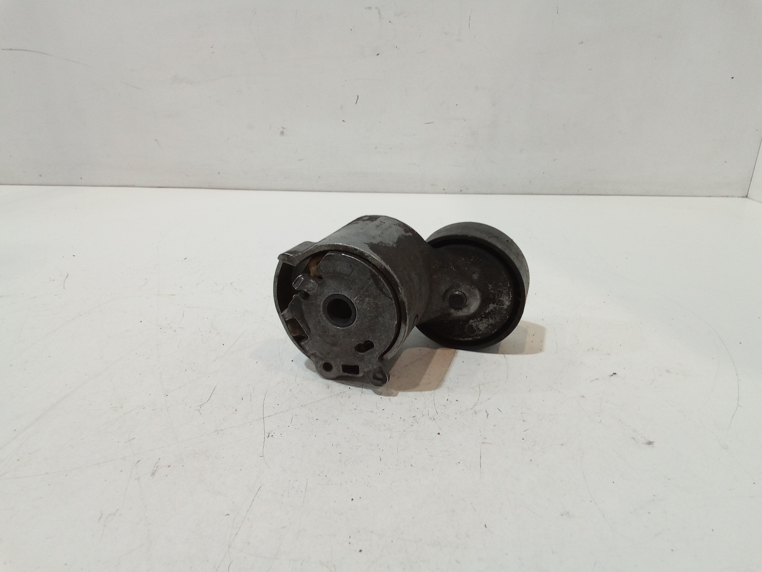 Tendicinghia per Fiat 500 Serie (15>) (2015 - In produzione)