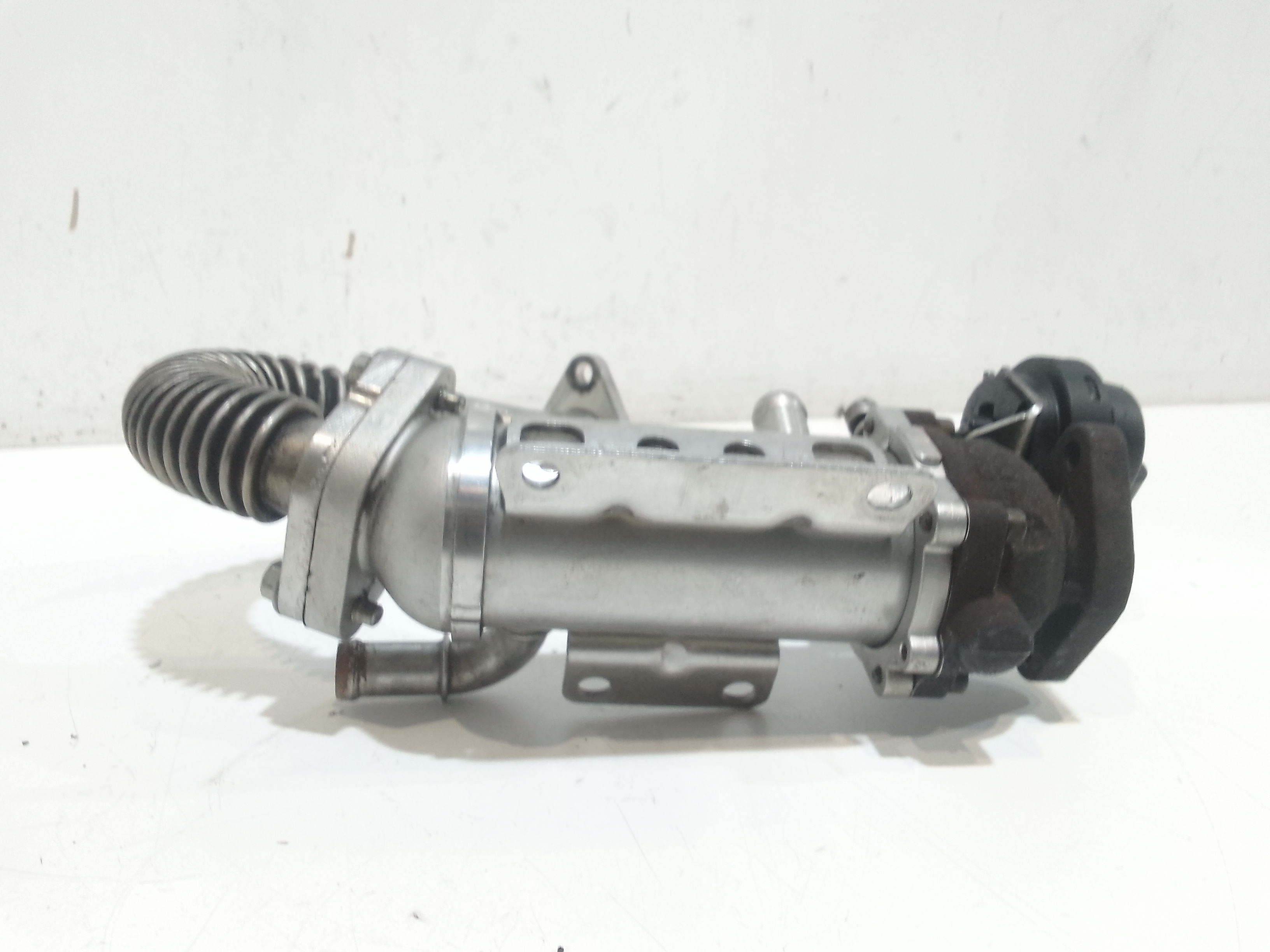 Scambiatore Egr per Renault Trafic Combi 2 Serie (2007 - In produzione)