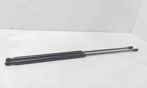 Pistoncini cofano Post. per Citroen Berlingo 3 Serie (2008 - 2018)