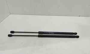 Pistoncini cofano Post. per Land Rover Freelander 3 Serie (2006 - In produzione)