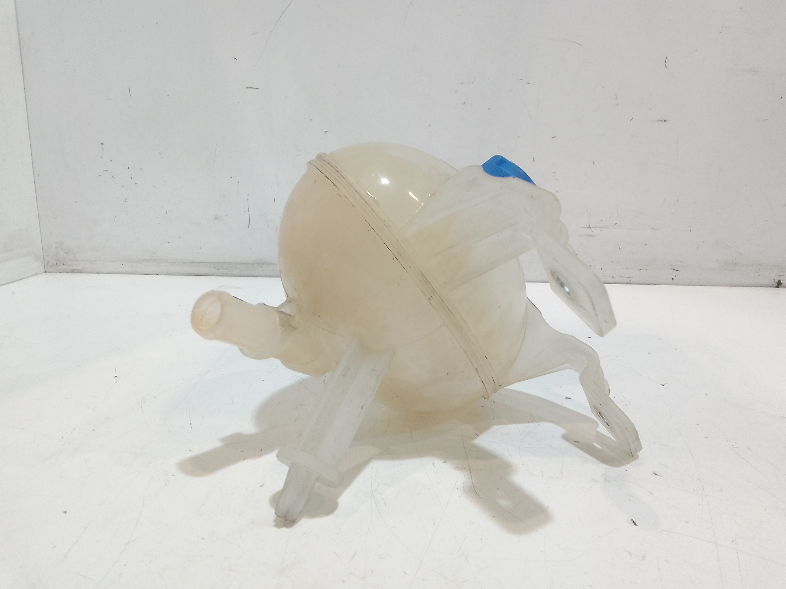 Vaschetta liquido radiatore per Fiat 500 L Serie (351_352) (12>) (2012 - In produzione)