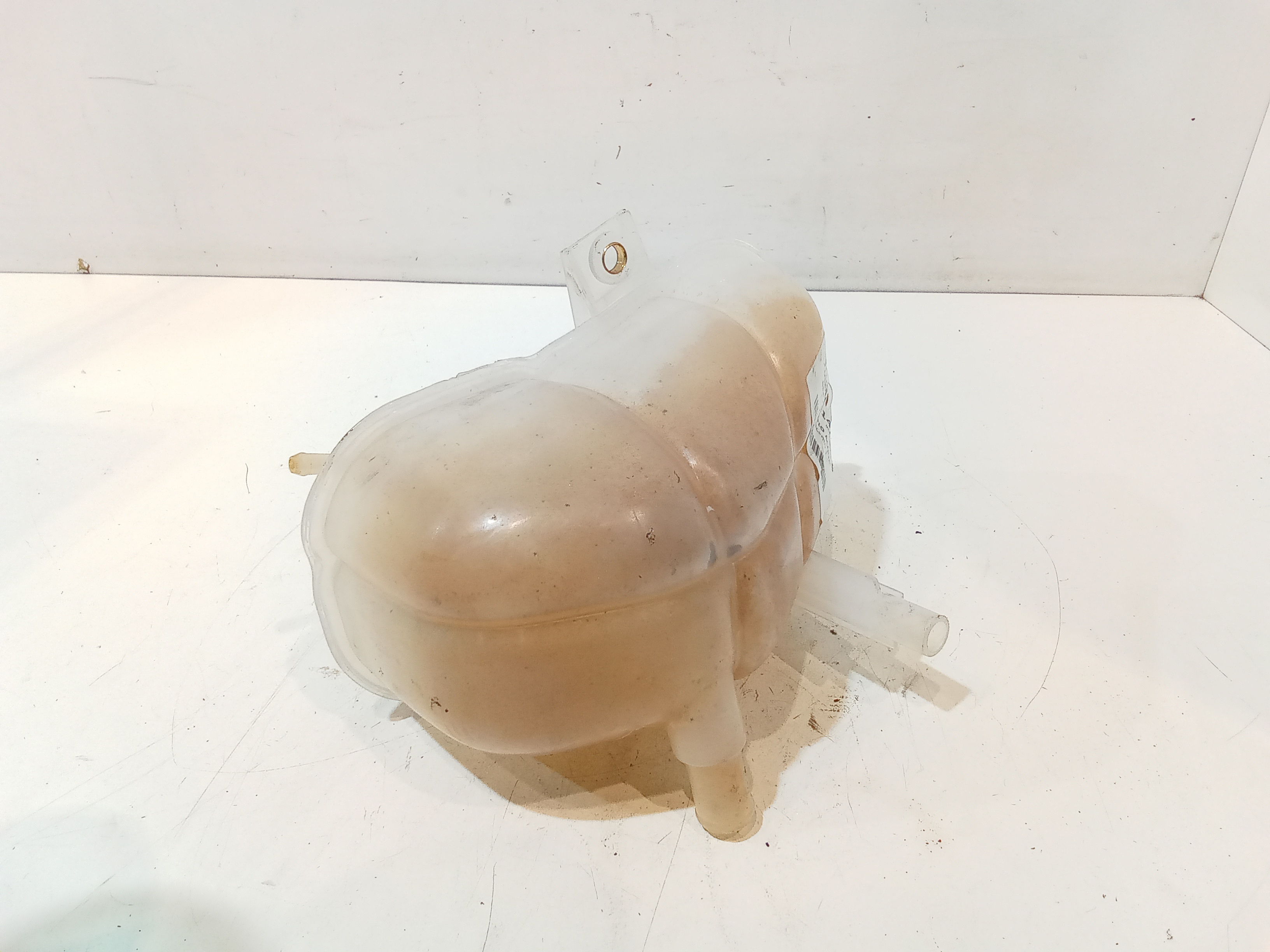 Vaschetta liquido radiatore per Fiat Seicento / 600 (05>10) (2005 - 2010)