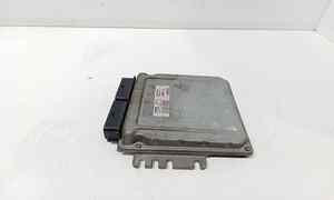 Centralina motore per Renault Clio Serie (04>08) (2004 - 2008)