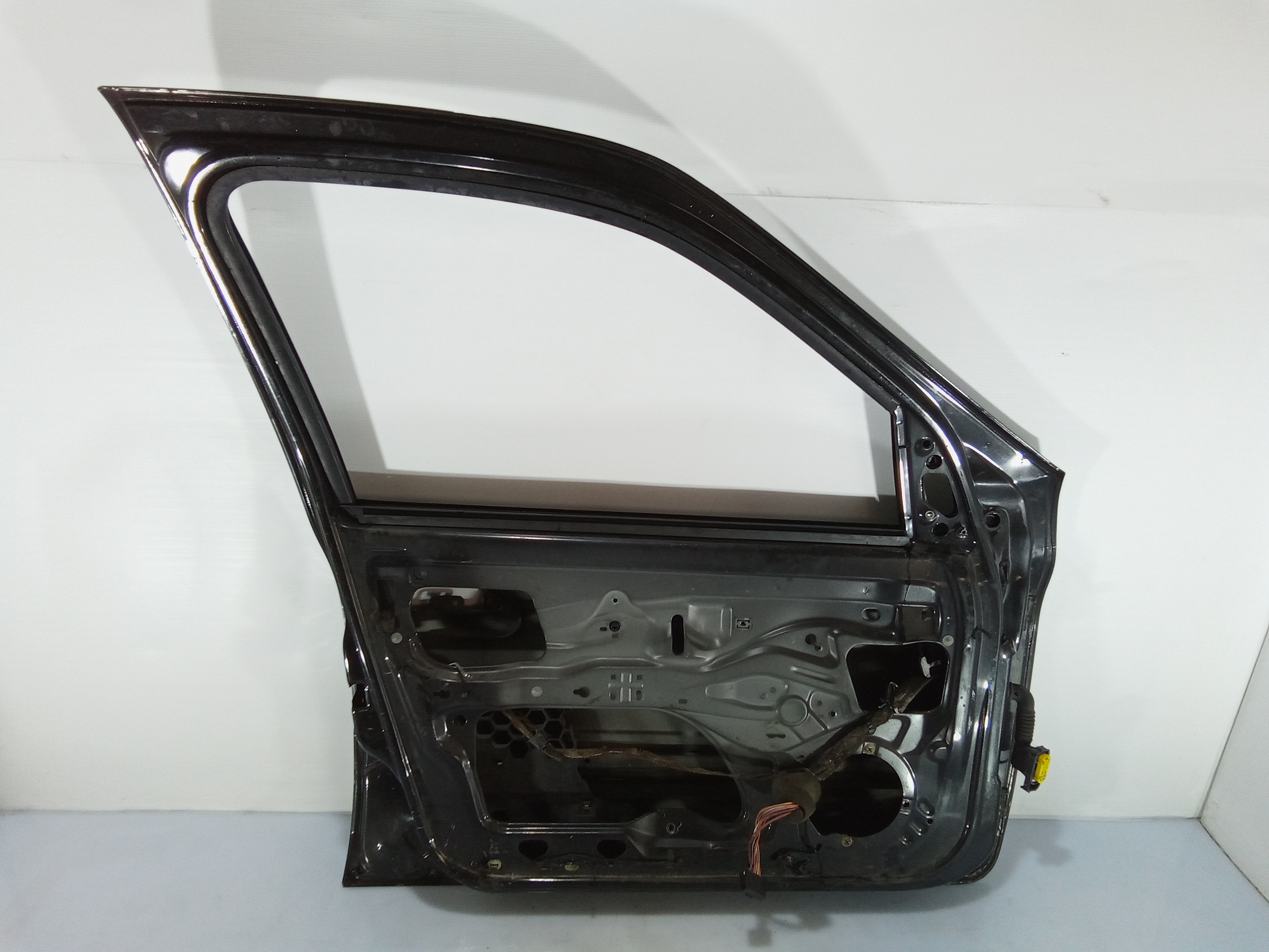 Portiera Anteriore Sinistra per Renault Clio Serie (04>08) (2004 - 2008)