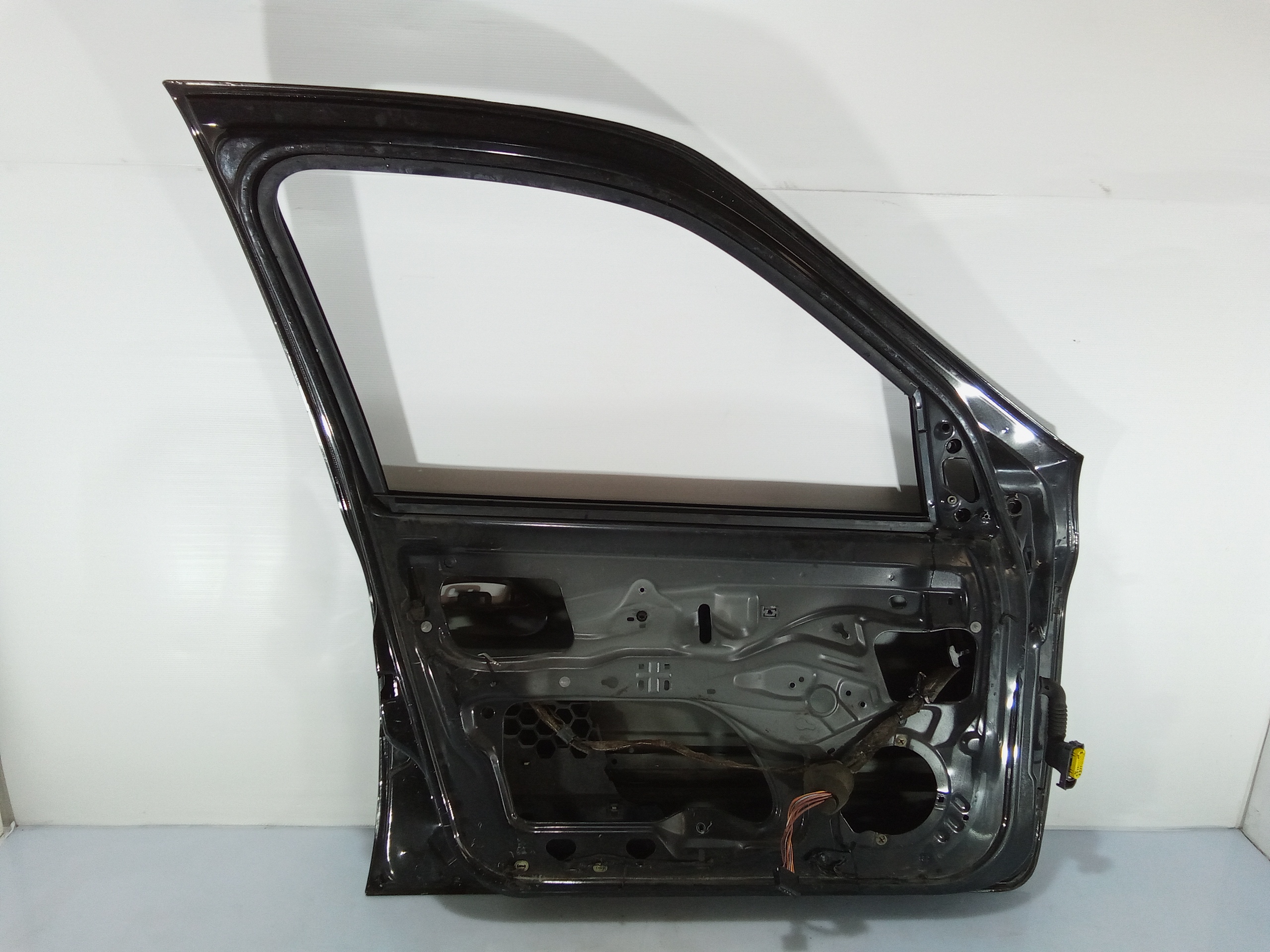 Portiera Anteriore Sinistra per Renault Clio Serie (04>08) (2004 - 2008)