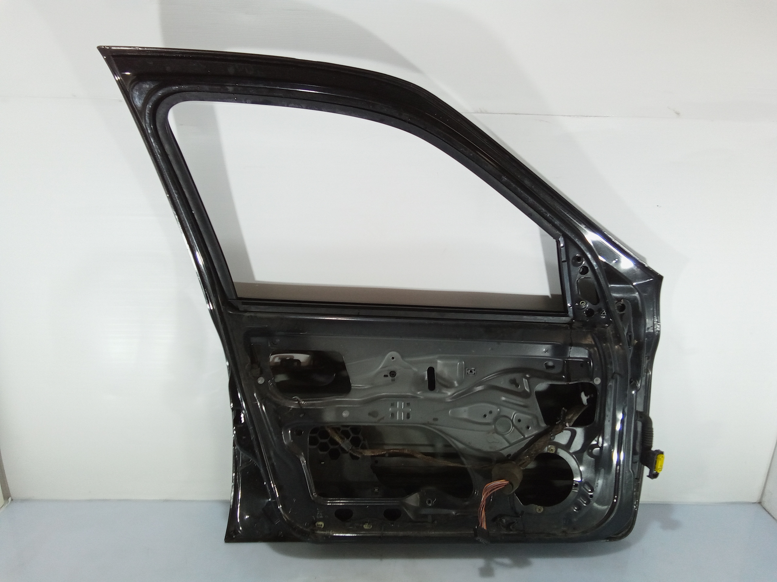 Portiera Anteriore Sinistra per Renault Clio Serie (04>08) (2004 - 2008)