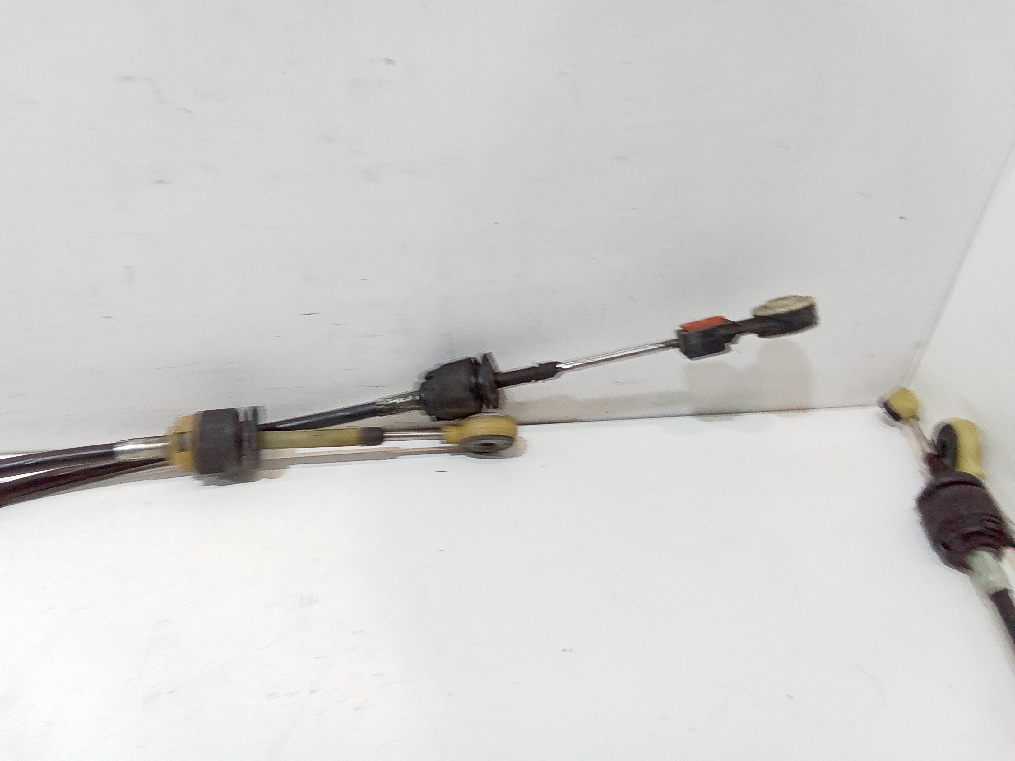 Corde cambio per Ford Focus Berlina 5 Serie (2011 - 2014)