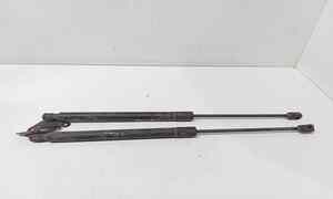 Pistoncini cofano Post. per Volkswagen Tiguan 1 Serie (2007 - 2011)