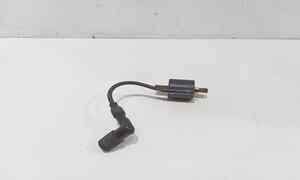 Bobina per Yamaha Xc 300 (2003 - 2007)