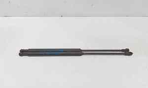 Pistoncini cofano Post. per Renault Twingo Ii Serie  (07>14) (2007 - 2014)