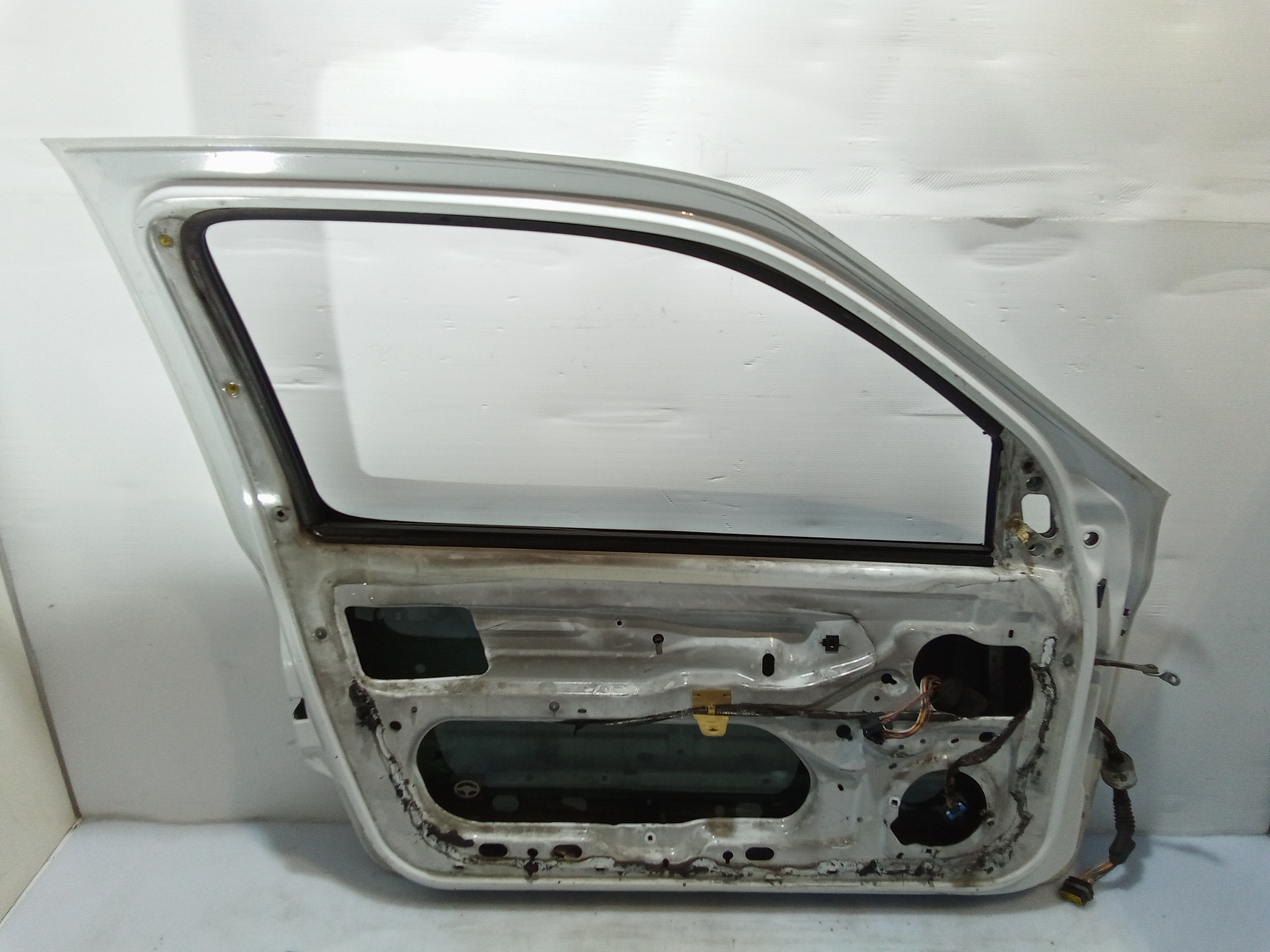 Portiera Anteriore Sinistra per Renault Clio Serie (01>05) (2001 - 2005)