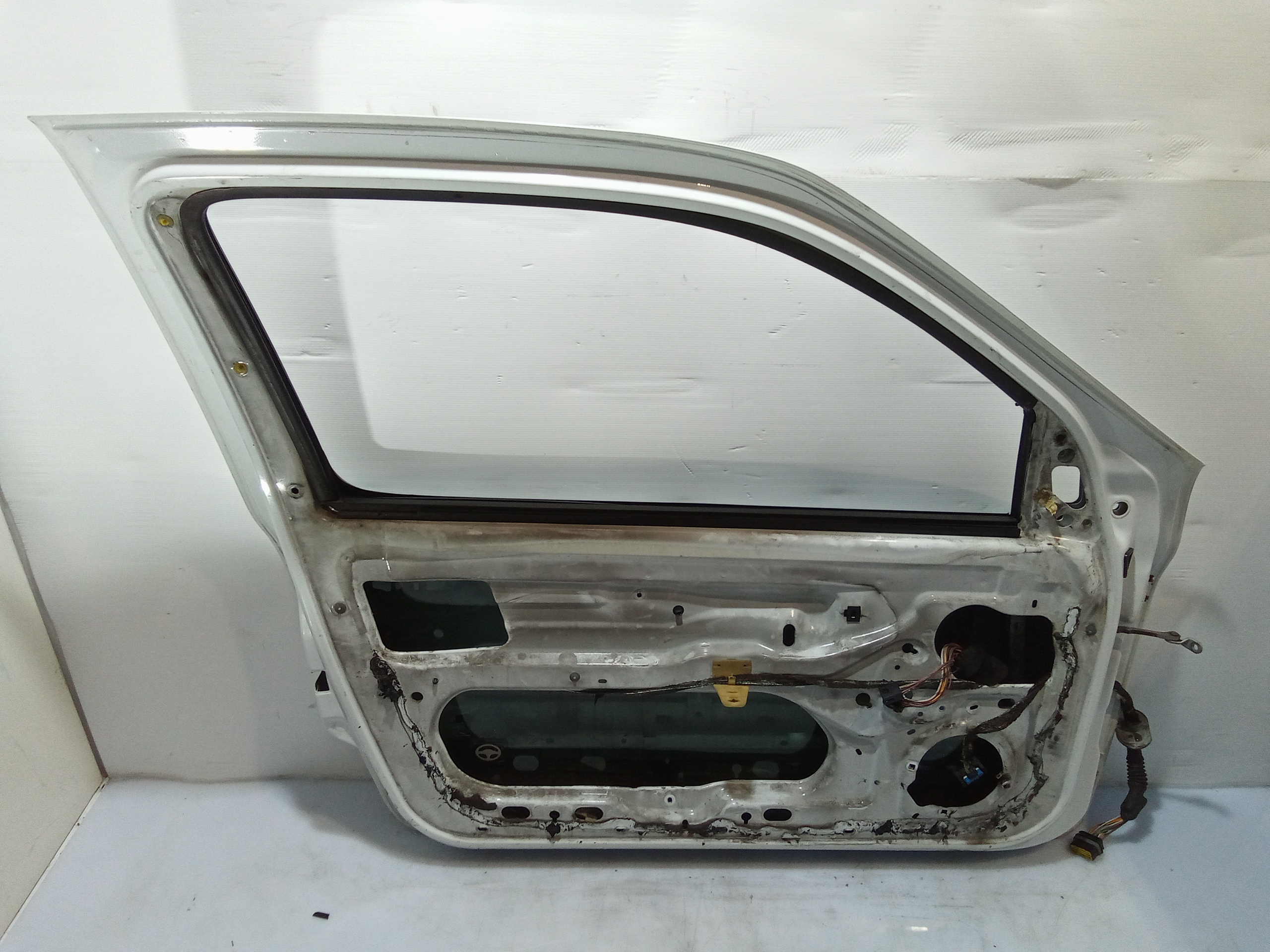 Portiera Anteriore Sinistra per Renault Clio Serie (01>05) (2001 - 2005)