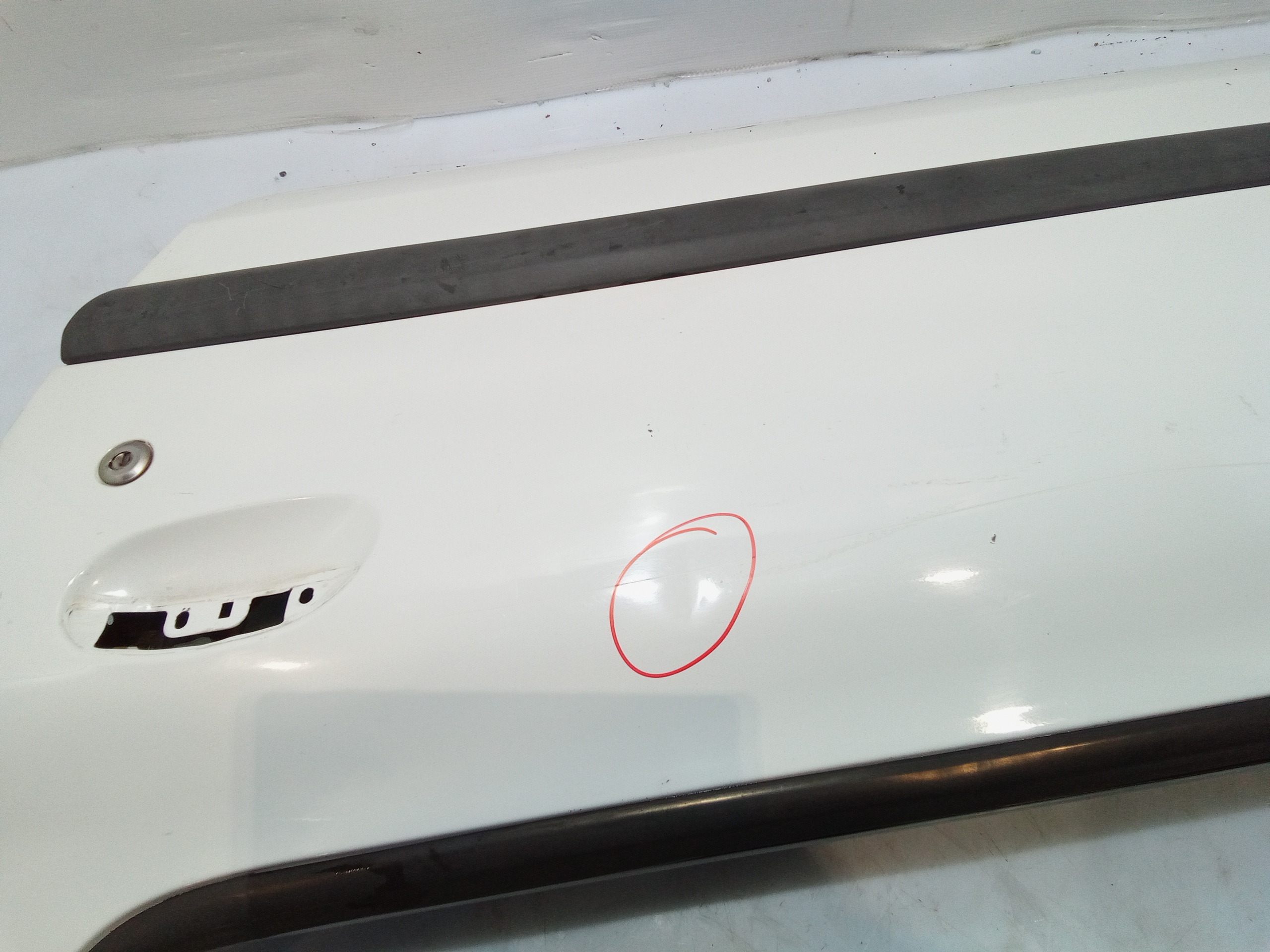 Portiera Anteriore Sinistra per Renault Clio Serie (01>05) (2001 - 2005)