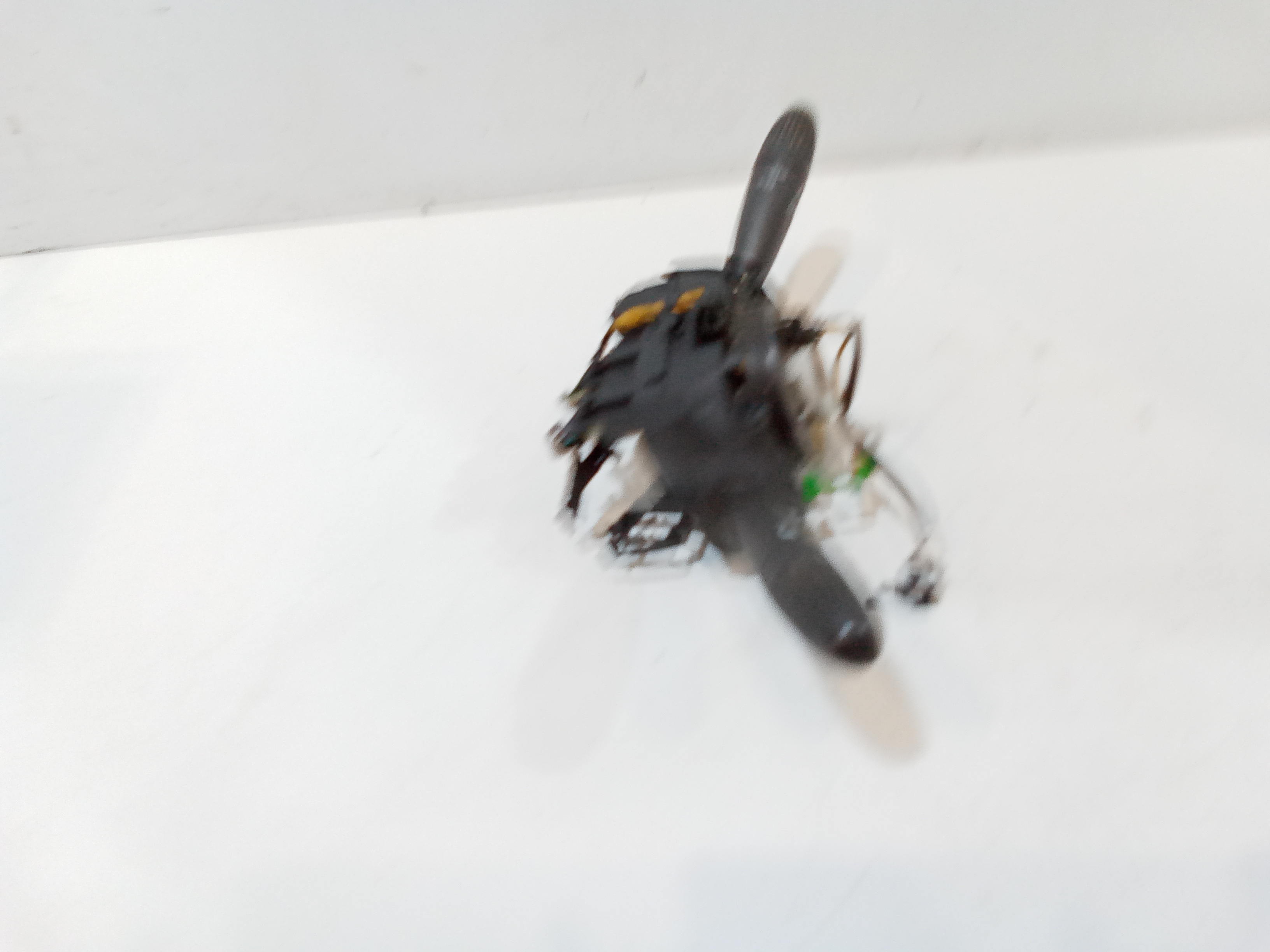 Devioluci per Fiat Punto Berlina 5p 3 Serie (2003 - In produzione)