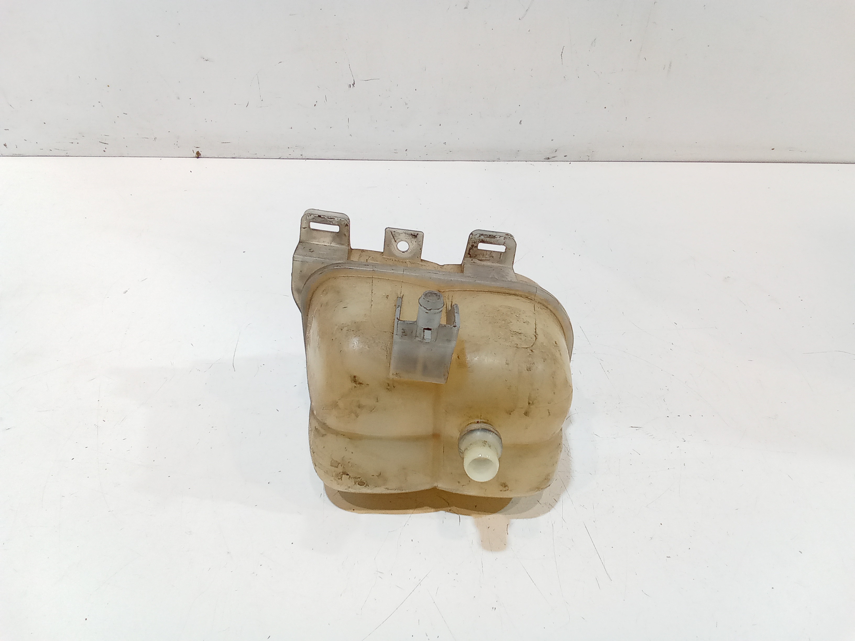 Vaschetta liquido radiatore per Mini Countryman 1 Serie (2010 - In produzione)