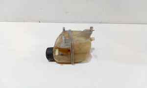 Vaschetta liquido radiatore per Mini Countryman 1 Serie (2010 - In produzione)