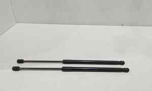 Pistoncini cofano Post. per Mini Countryman 1 Serie (2010 - In produzione)