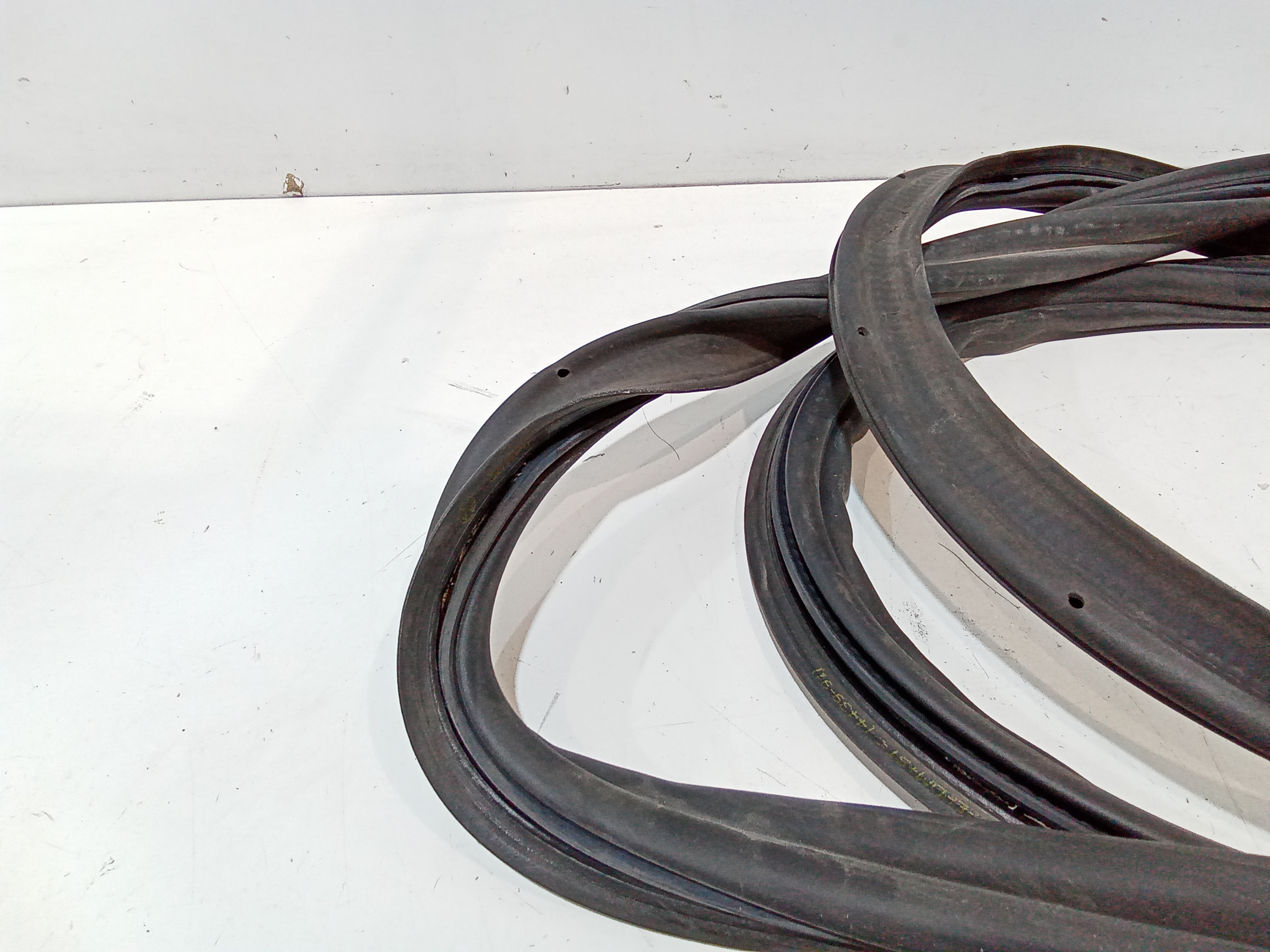 Guarnizioni portiere per Volkswagen Golf Serie Viii (19>) (2019 - In produzione)