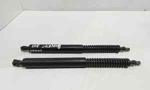 Pistoncini cofano Post. per Peugeot 307 Cabrio 2 Serie (2005 - In produzione)