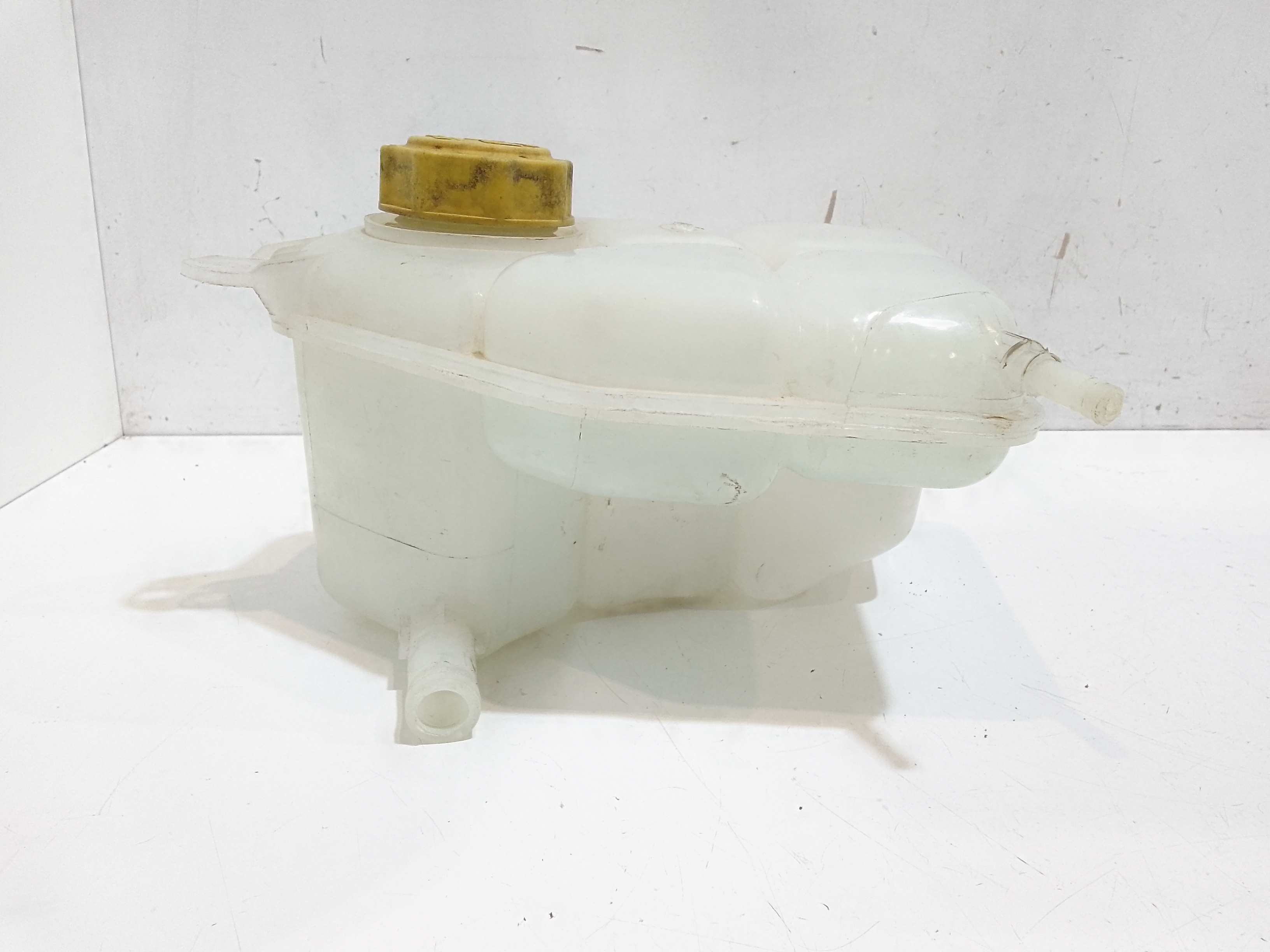 Vaschetta liquido radiatore per Ford Fiesta 6 Serie (2008 - 2017)