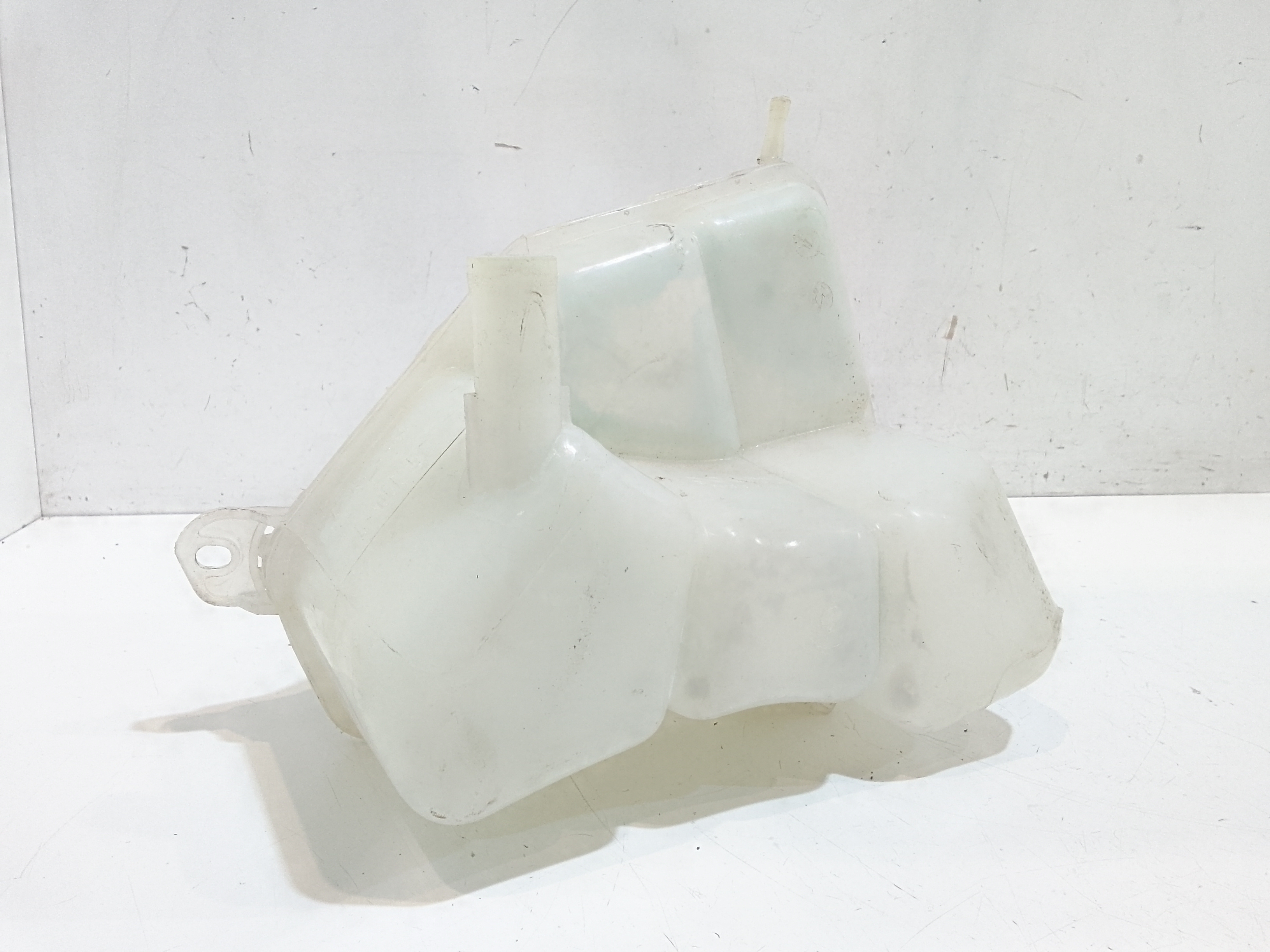 Vaschetta liquido radiatore per Ford Fiesta 6 Serie (2008 - 2017)