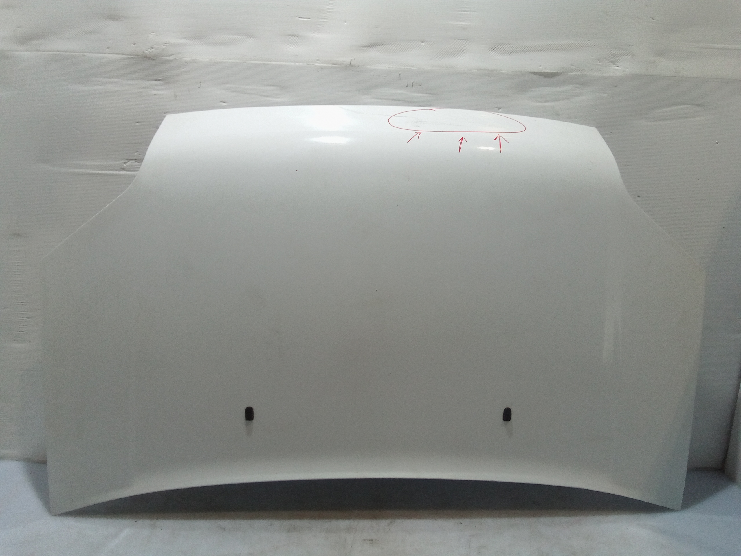 Cofano Anteriore per Ford Transit Connect 2 Serie (2006 - 2009)