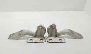 Cerniere cofano anteriore dx e sx per Fiat 500 L Serie (351_352) (12>) (2012 - In produzione)