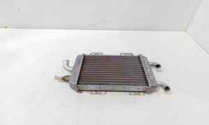 Radiatore acqua per Piaggio X9 250cc (2000 - >)