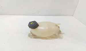 Vaschetta liquido radiatore per Renault Captur Serie (2013 - In produzione)