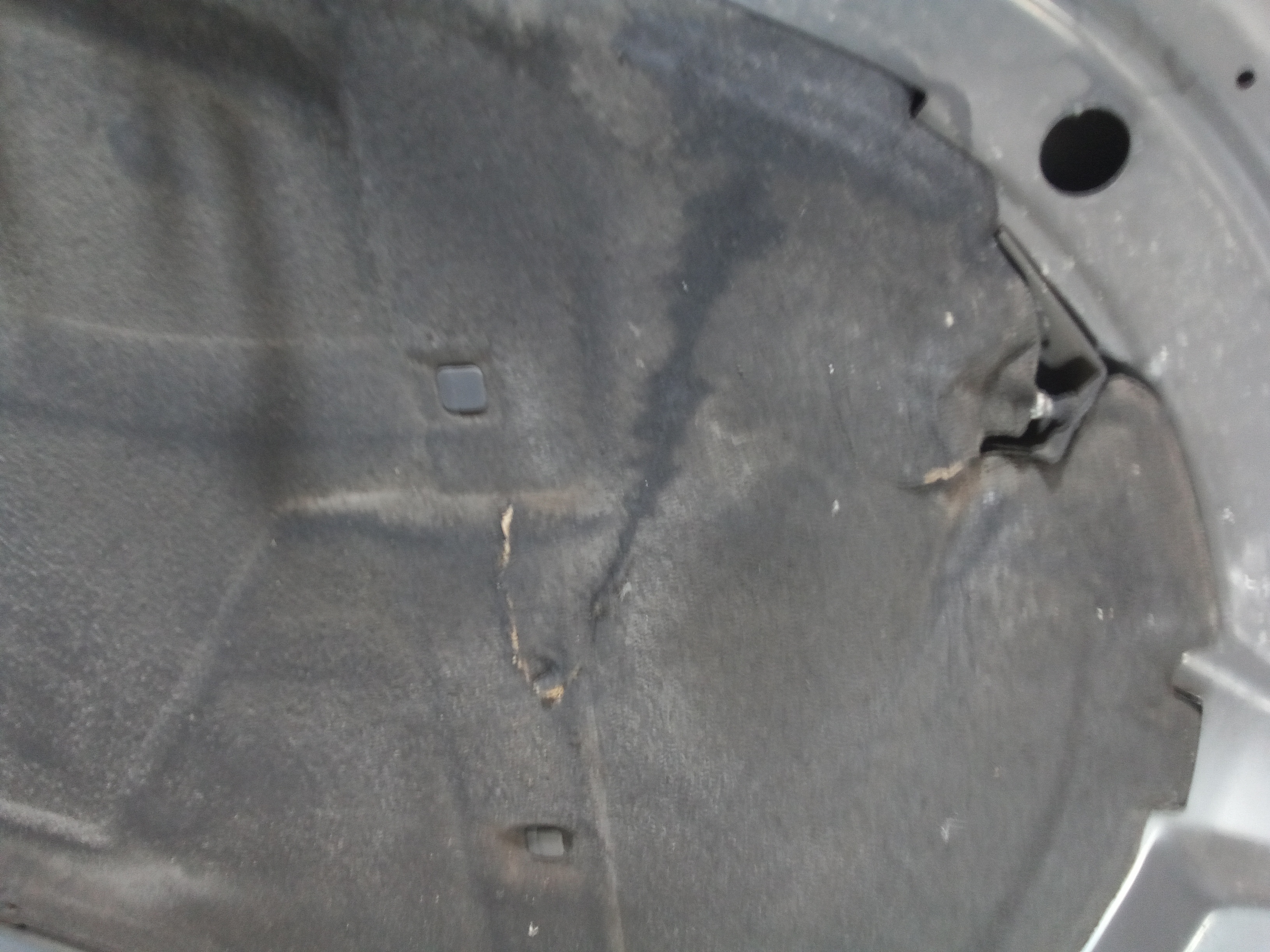 Cofano Anteriore s.wagon per Audi A4 Berlina (07>10) (2007 - 2010)