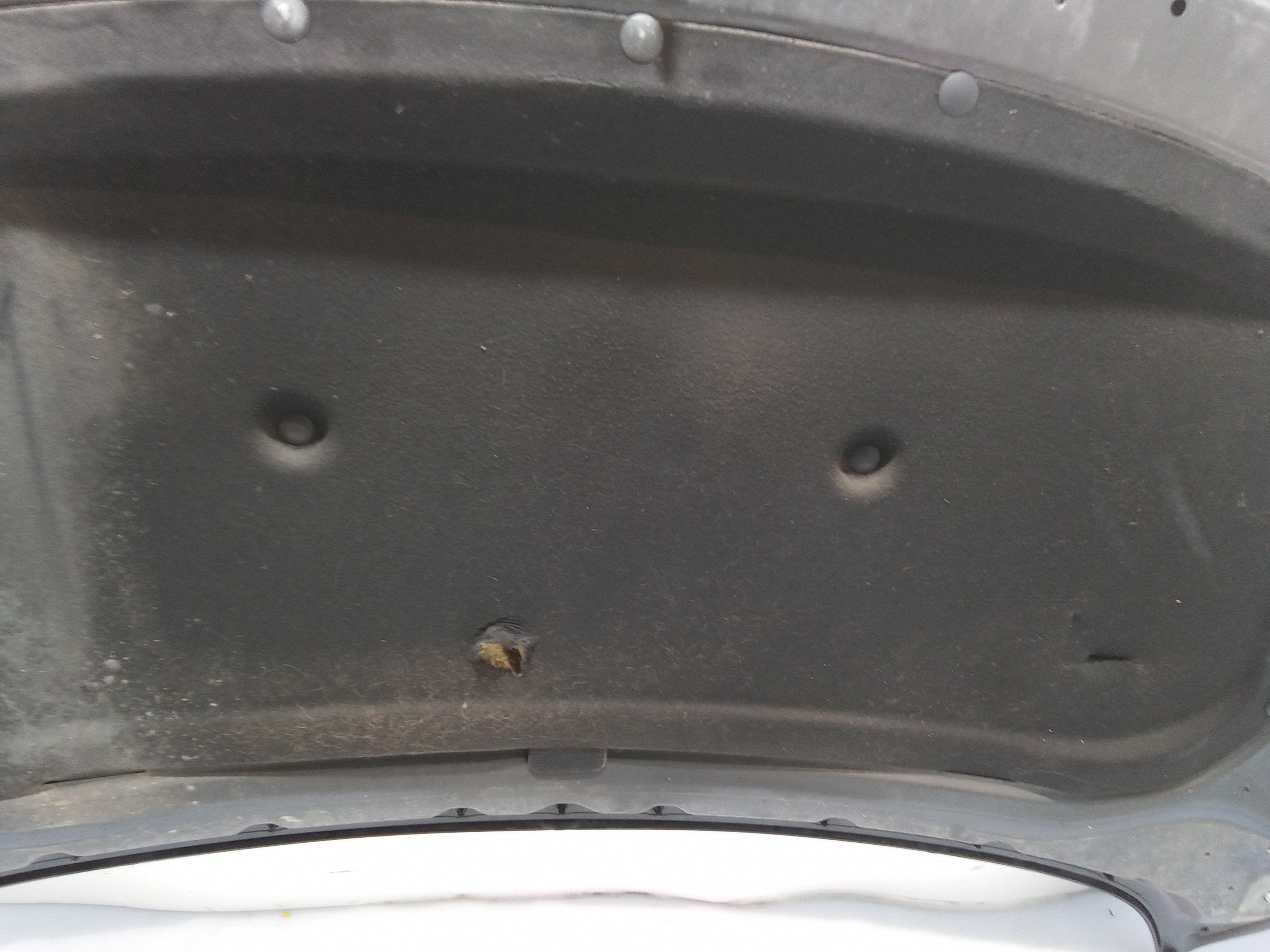 Cofano Anteriore per Opel Astra J 2 Serie (2011 - In produzione)