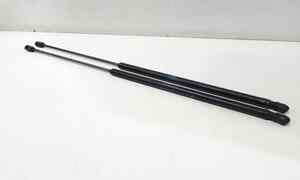 Pistoncini cofano Post. per Lancia Delta 3 Serie (2008 - 2011)