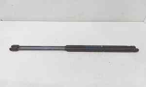 Pistoncini cofano Post. per Lancia Ypsilon 2 Serie (2006 - 2010)