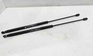 Pistoncini cofano Post. per Fiat Bravo 2 Serie (2007 - 2010)