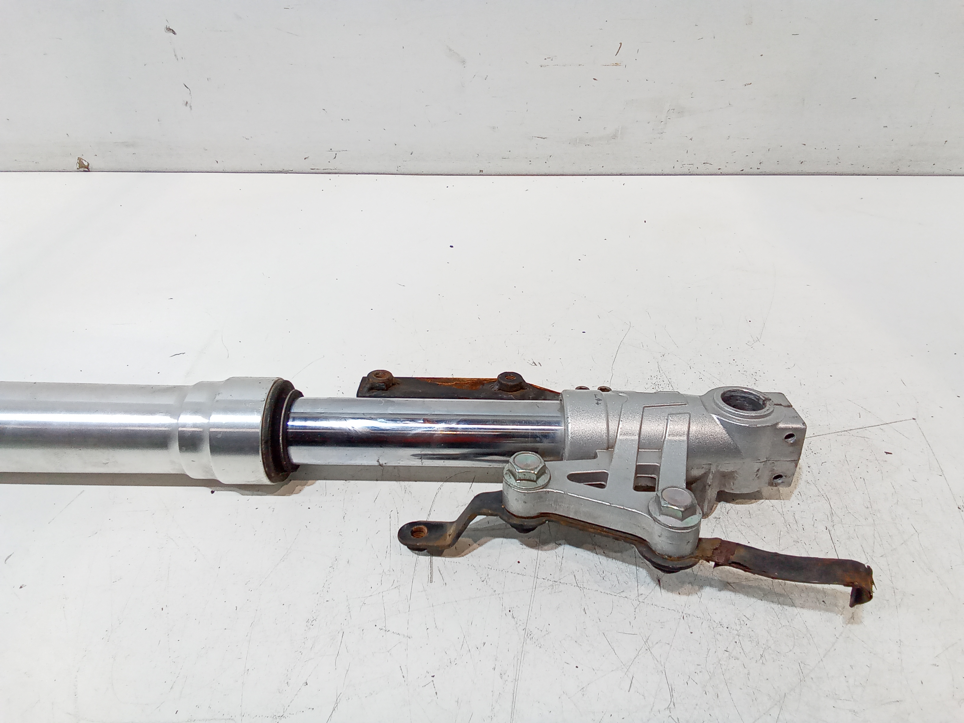 Gambale stelo forcella SX per Benelli Bn 125cc (2016 - 2018)