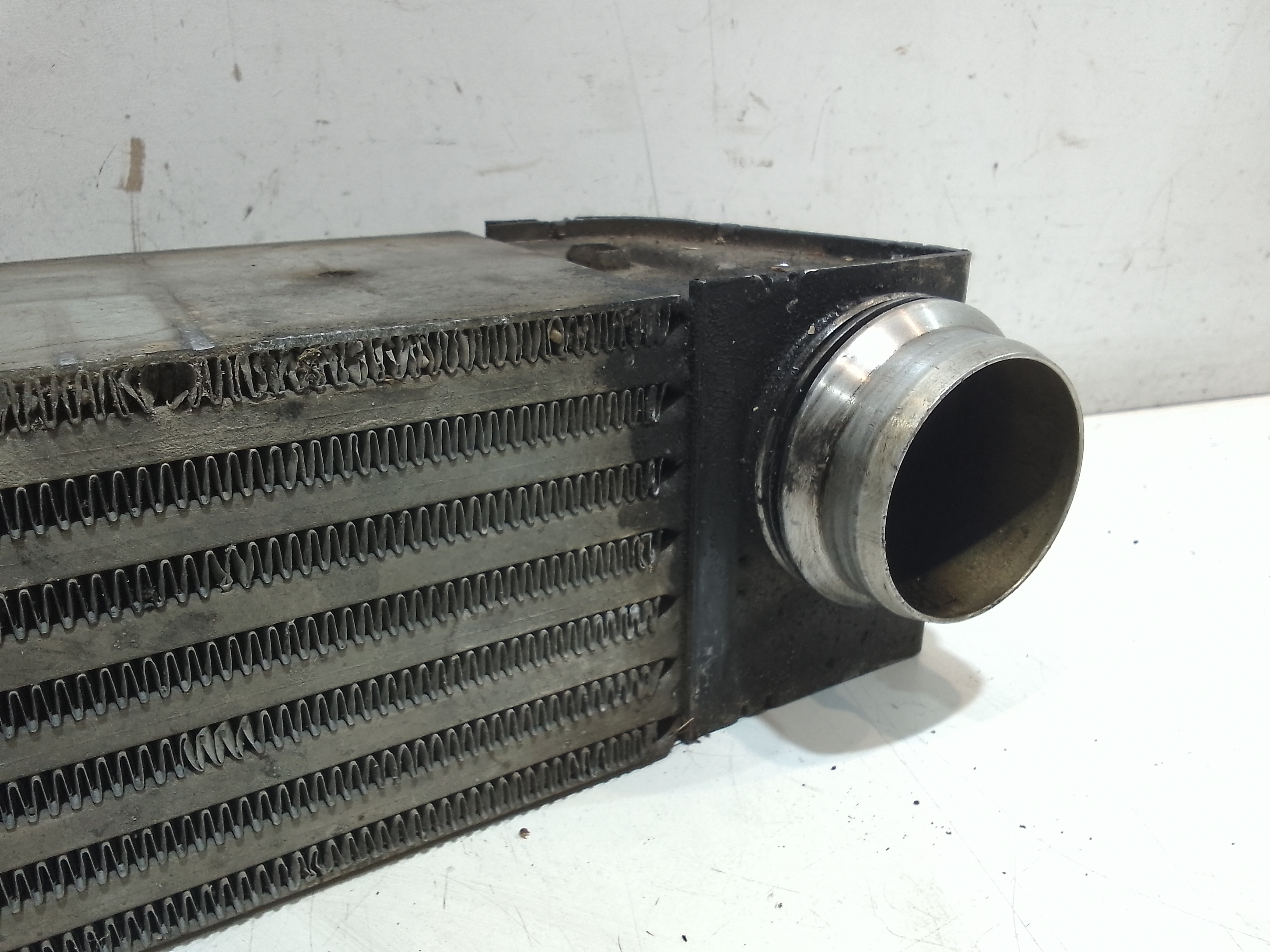 Intercooler per Bmw Serie 5 E60 Touring (2003 - 2010)