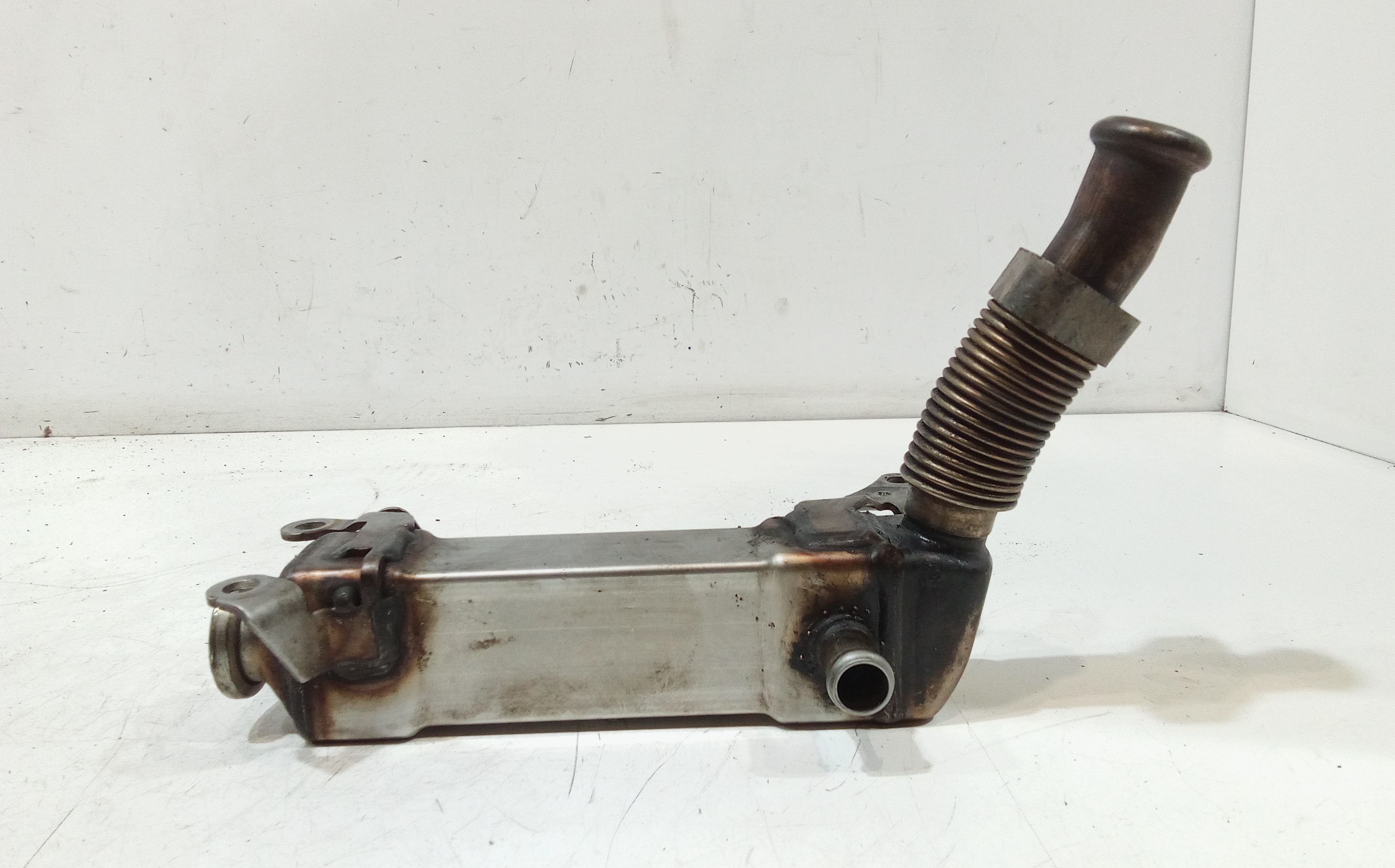 Valvola EGR per Bmw X5 Serie (e70) (06>13) (2006 - 2013)