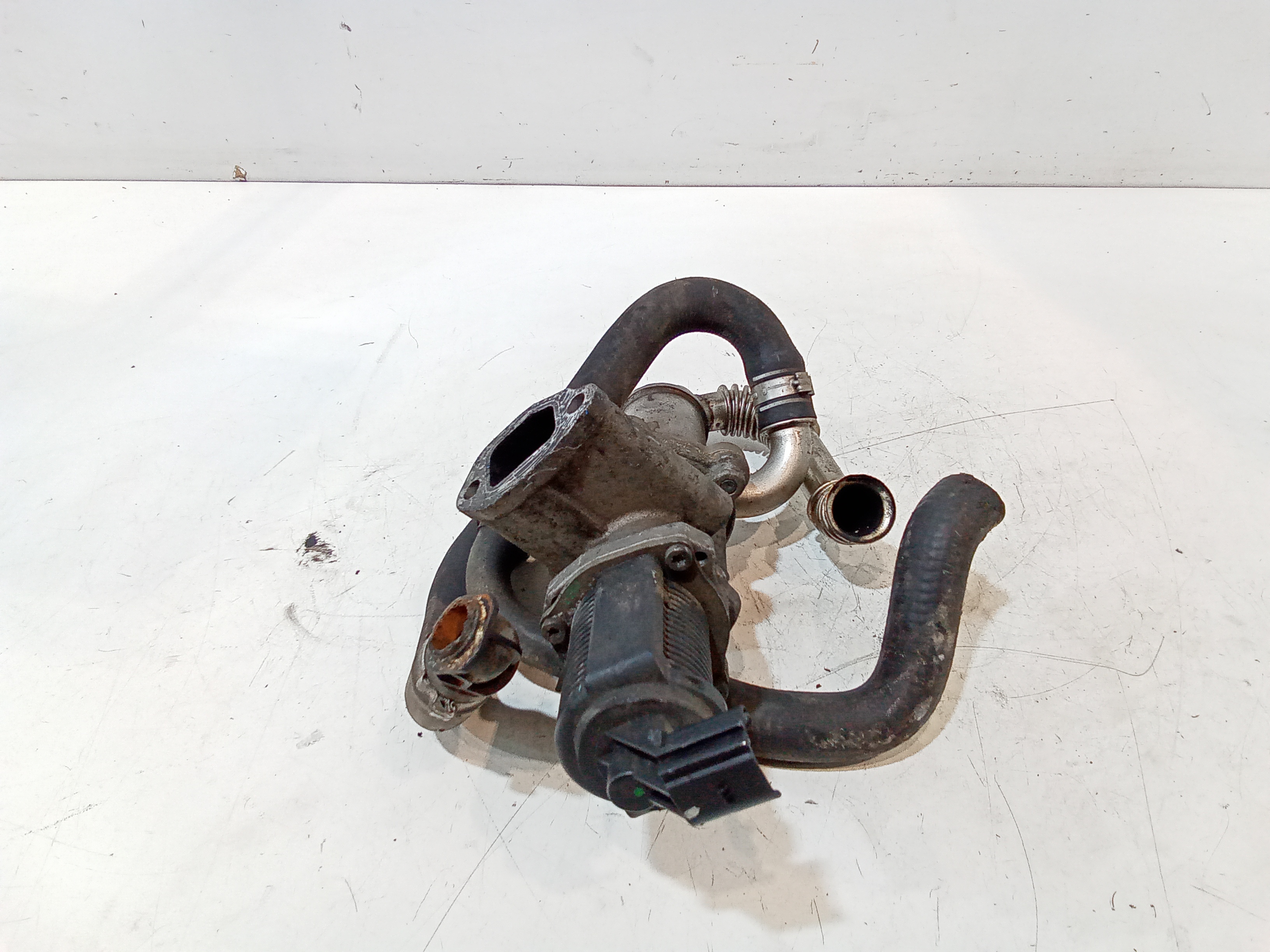 Scambiatore Egr per Fiat Grande Punto 1 Serie (2005 - 2008)