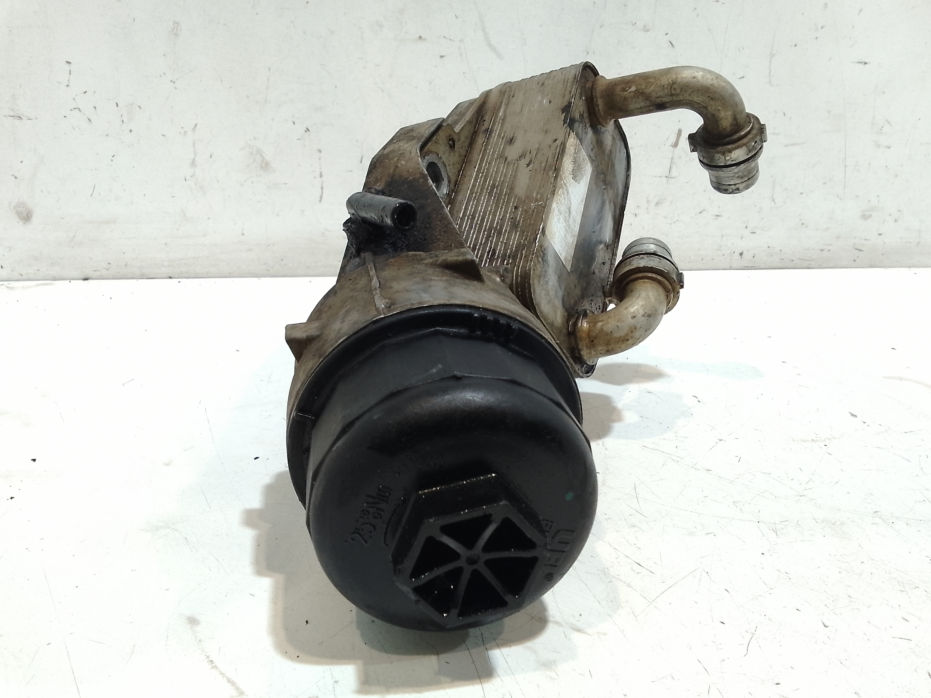 Scambiatore Acqua Olio per Fiat Sedici 2 Serie (2009 - In produzione)