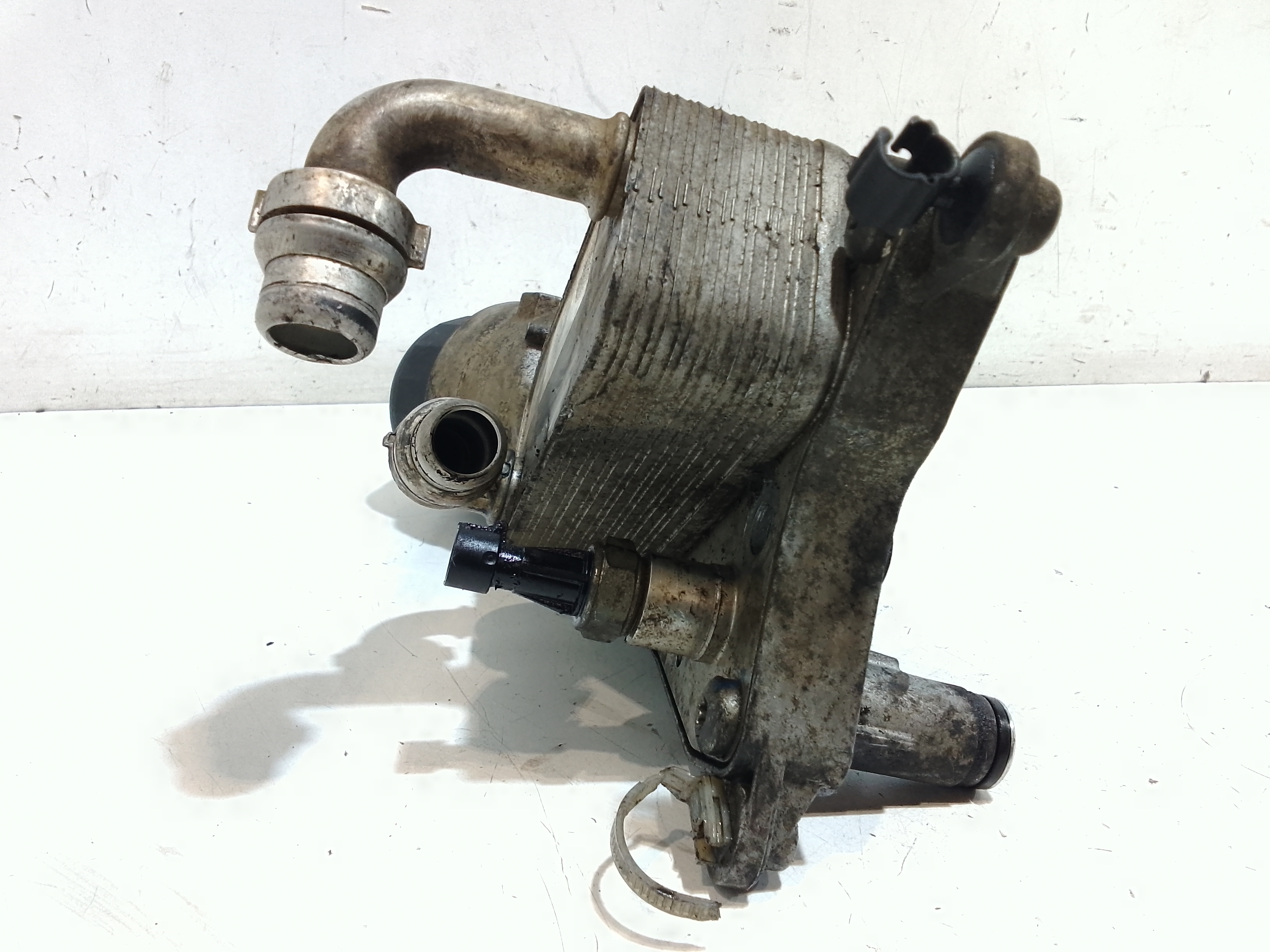 Scambiatore Acqua Olio per Fiat Sedici 2 Serie (2009 - In produzione)