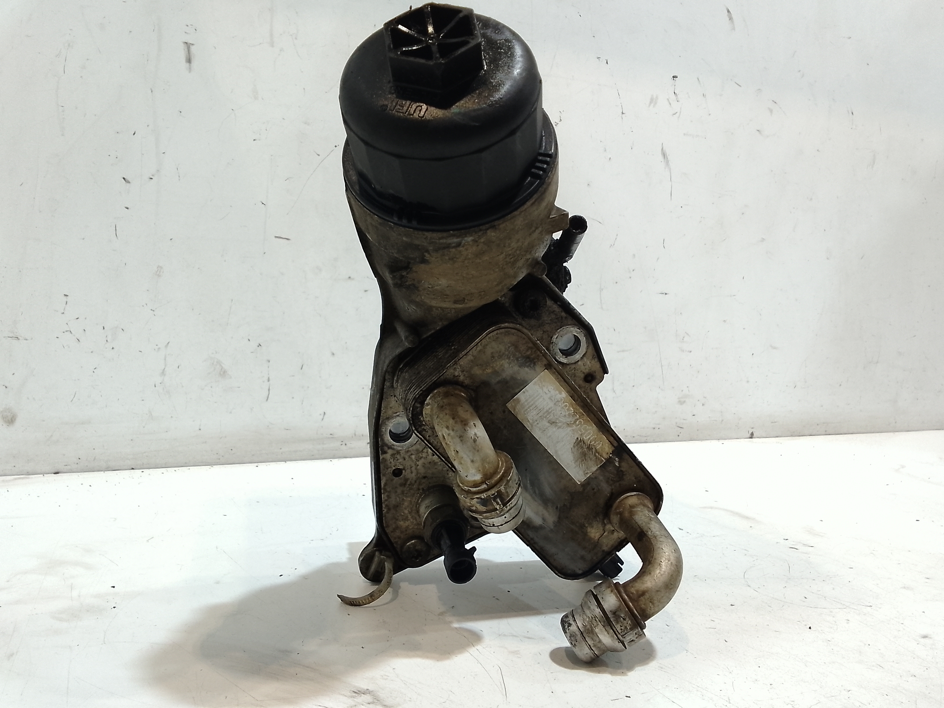 Scambiatore Acqua Olio per Fiat Sedici 2 Serie (2009 - In produzione)