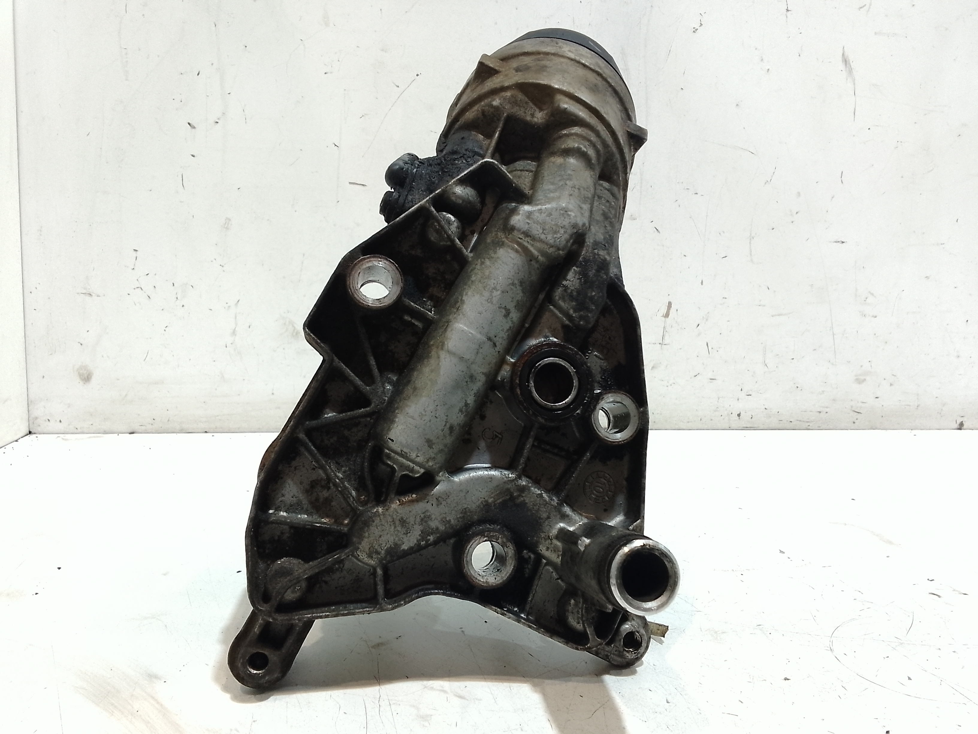 Scambiatore Acqua Olio per Fiat Sedici 2 Serie (2009 - In produzione)