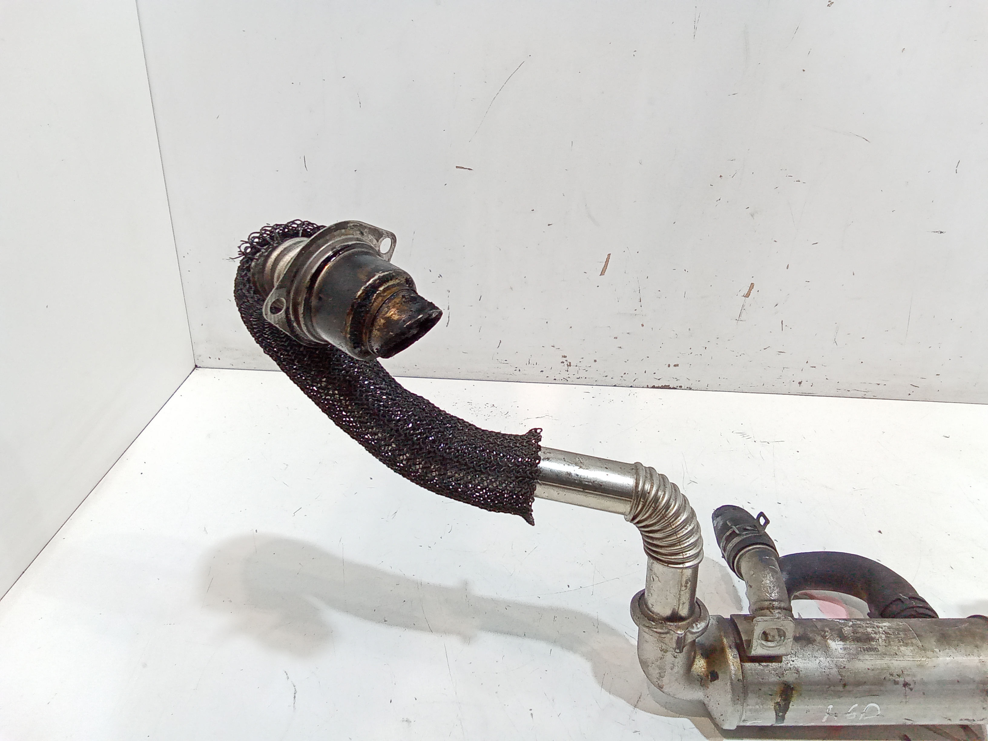 Scambiatore di calore per Ford Focus Berlina 3 Serie (2004 - 2008)