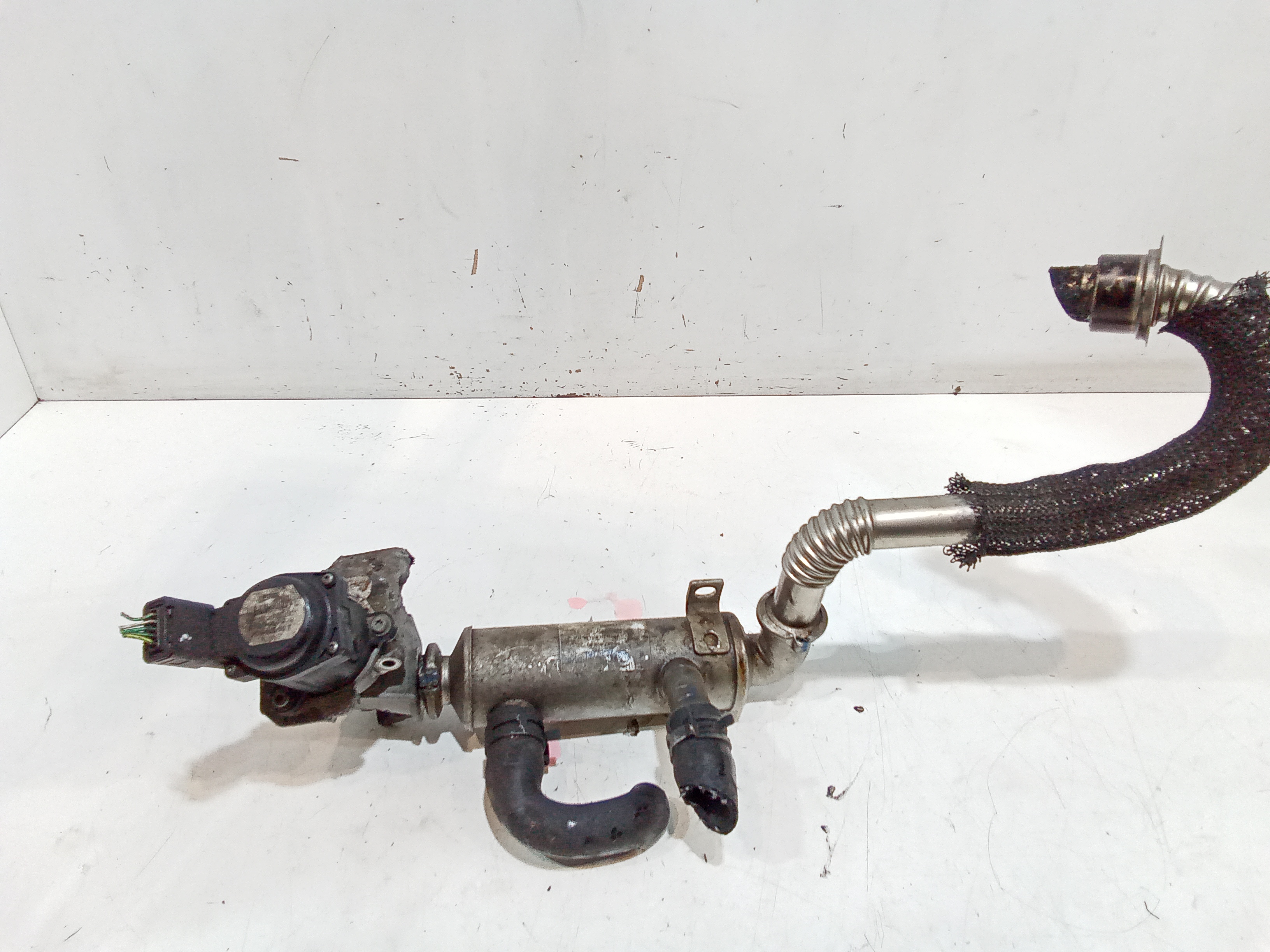 Scambiatore di calore per Ford Focus Berlina 3 Serie (2004 - 2008)